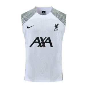 Maillot Homme Liverpool 2023/24 Pré-Match Tank Top
