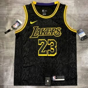 LeBron James Black Mamba Mens Player Jersey
