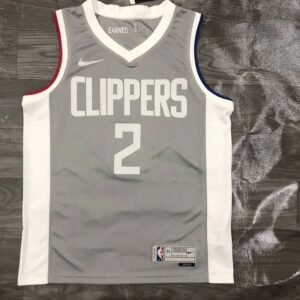 Maillot Homme Kawhi Leonard Gray 2020-21 Swingman Player Jersey – Earned Edition