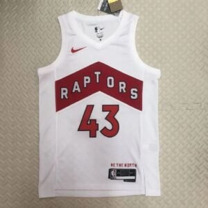 Maillot Homme Pascal Siakam White Home Team Jersey