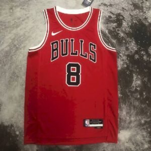Maillot Homme Zach LaVine Red Team Jersey