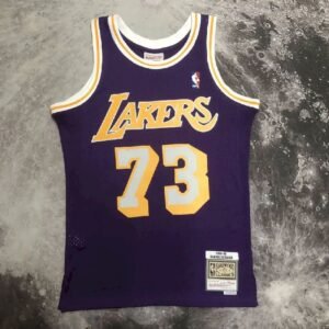 Maillot Homme M&N 98/99 Dennis Rodman Purple Retro Jersey
