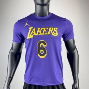 Maillot Homme LeBron James Purple Team T-shirt