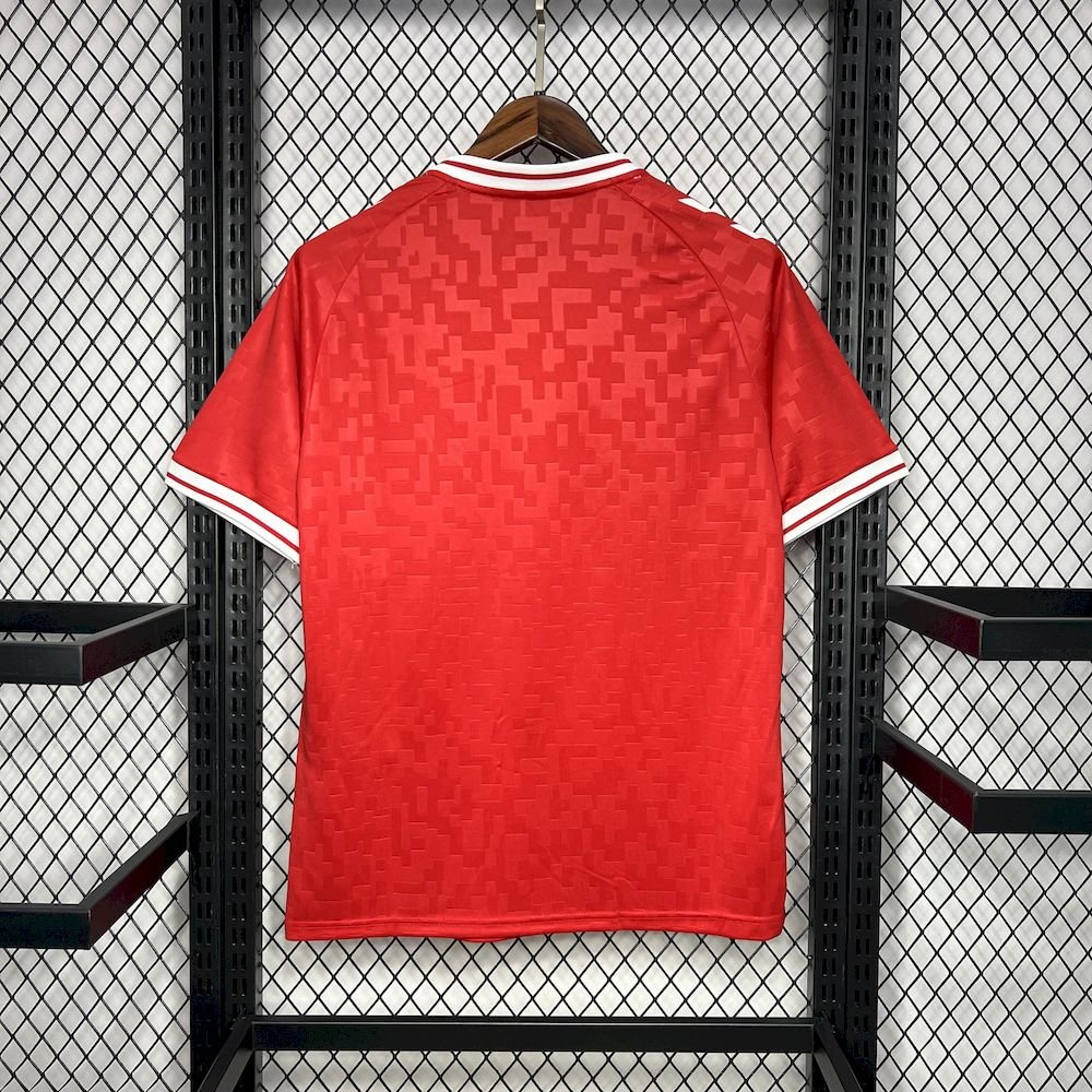 Maillot Homme Danemark 2024/25 Domicile – Image 2
