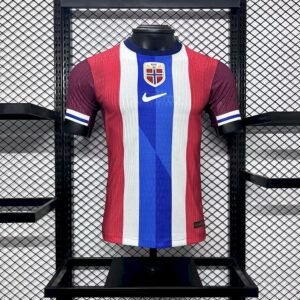 Maillot Homme Norvège 2024/25 Domicile Version Joueur