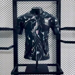 Maillot Homme Corée du Sud 2024/25 Extérieur Version Joueur