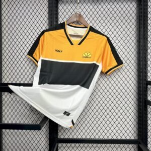 Maillot Homme Criciuma 2024/25 Domicile