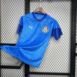 Maillot Homme Palmeiras 2024/25 Gardien