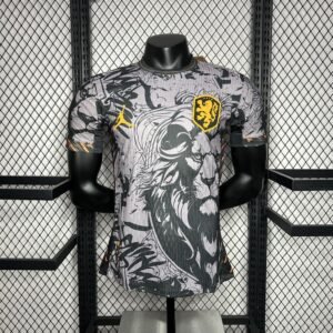 Maillot Homme Pays-Bas 2024/25 Jordanie Version Version Joueur