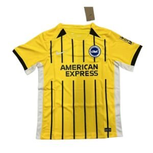 Maillot Homme Brighton & Hove Albion 2024/25 Extérieur