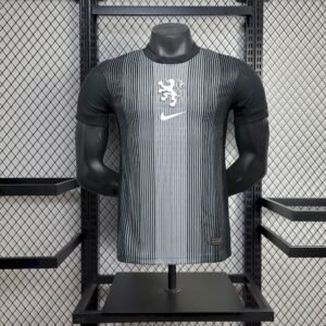 Maillot Homme Pays-Bas 2025 (Women's Team) Gardien Version Joueur