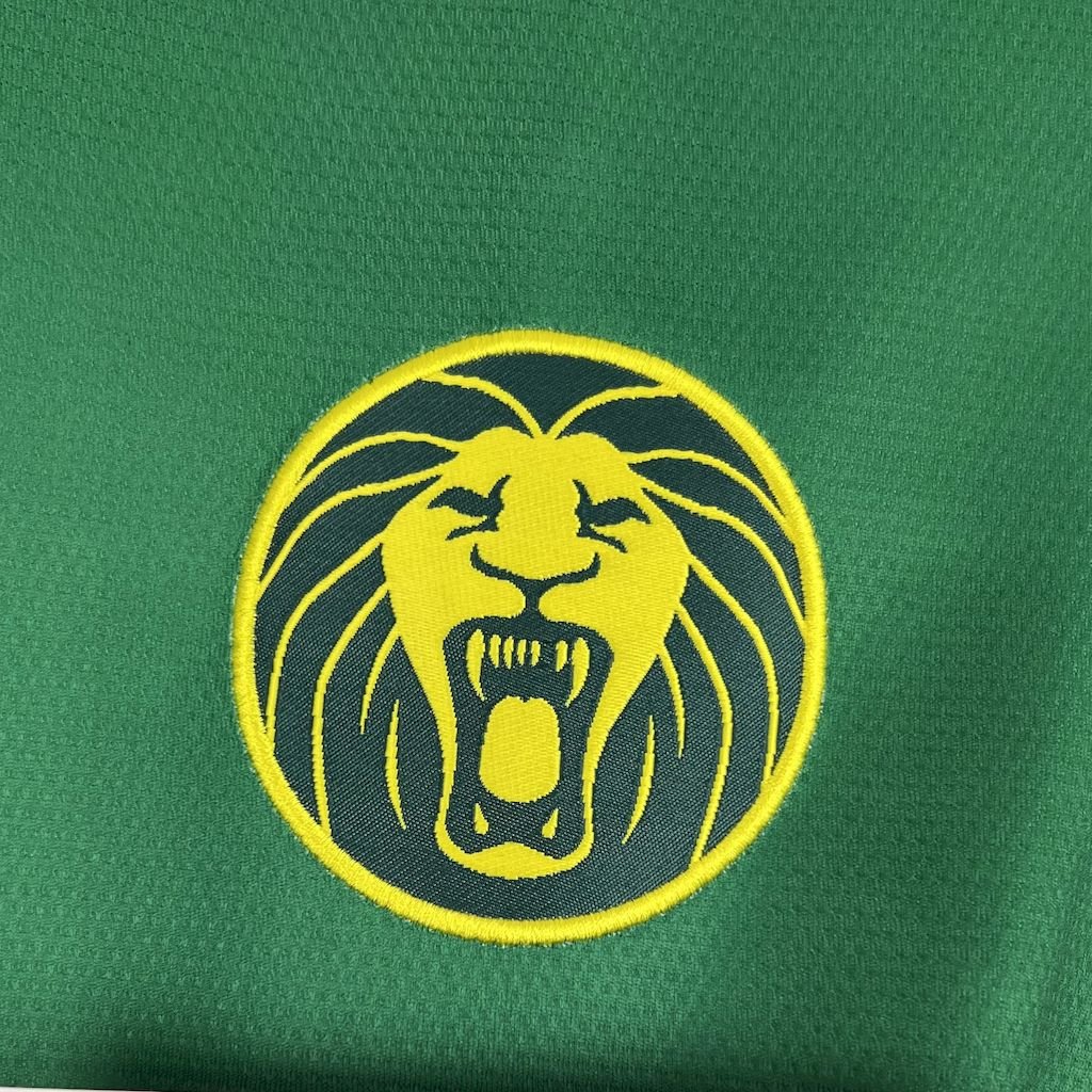 Maillot Homme Cameroun 2025 Domicile – Image 5