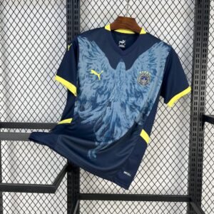 Maillot Homme Fenerbahce 2024/25 Third