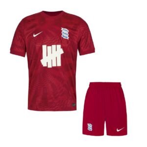 Kit Enfant Birmingham City F.C. 2025/26 Third Kit