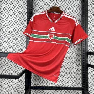 Maillot Homme Pays de Galles 2026 Coupe du Monde Domicile