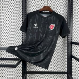 Maillot Homme Jordan 2026 Coupe du Monde Third