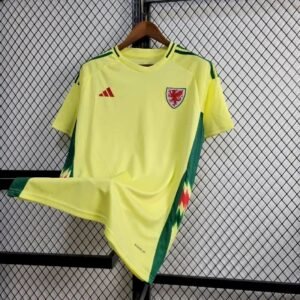 Maillot Homme Pays de Galles 2024/25 Domicile