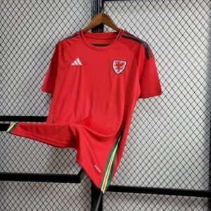 Maillot Homme Pays de Galles 2024/25 Extérieur