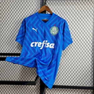 Maillot Homme Palmeiras 2024/25 Gardien