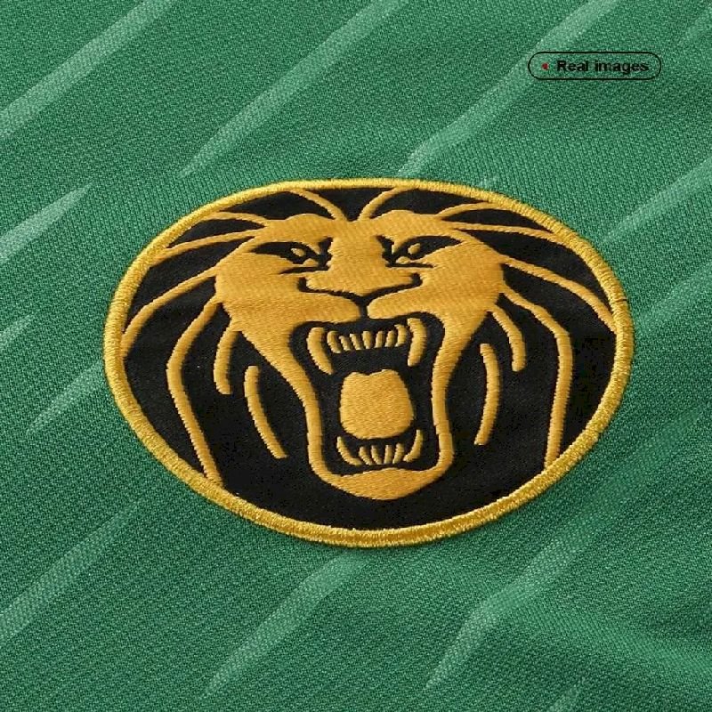 Maillot Homme Cameroun 2022 Domicile – Image 4