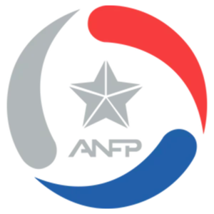Chilean Primera Division (Chile)