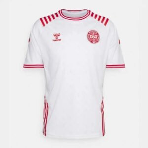 Maillot Homme Danemark 2022 Limited Edition