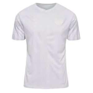 Maillot Homme Danemark 2022 Extérieur