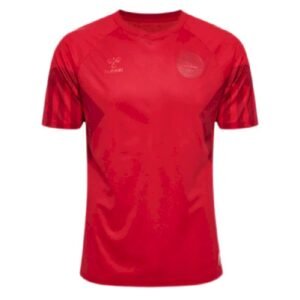 Maillot Homme Danemark 2022 Domicile