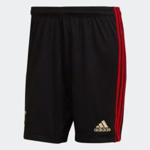Maillot Homme Flamengo 2021 Third Short
