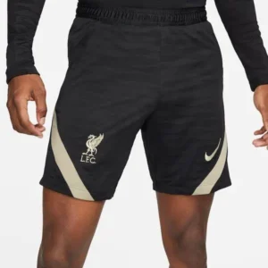 Maillot Homme Liverpool 2021/22 Strike Performance Short - Black