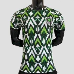 Maillot Homme Nigeria 2022 Domicile Version Joueur