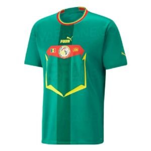 Maillot Homme Sénégal 2022 Extérieur Version Joueur