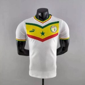 Maillot Homme Sénégal 2022 Domicile Version Joueur