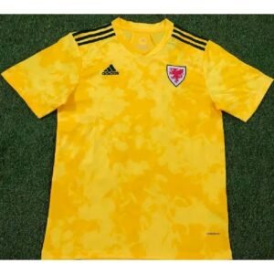 Maillot Homme Pays de Galles 2020 Extérieur