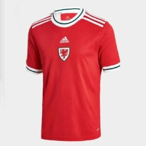 Maillot Homme Pays de Galles 2022 Domicile