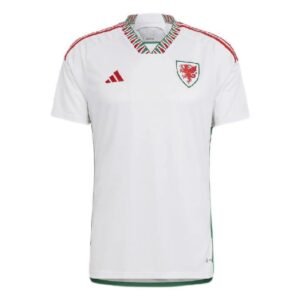 Maillot Homme Pays de Galles 2022 Extérieur