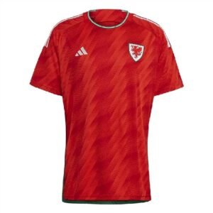 Maillot Homme Pays de Galles 2022 Domicile